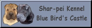 Shar-pei kennel Blue Bird's Castle